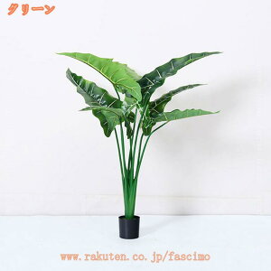 NYC Ύ j 킢 IV  tFCNO[ Mtg JXj ϗtA v[g  Ε lHϗtA Ə X  J^ AWA ^ CeA 