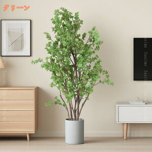  hE_ccW K̖ tFCNO[ lH ^ ϗtA Ϗܗp lH~ lHϗtA ϗt  ItBX   A A K^̖ ̂Ȃ hL R CeA