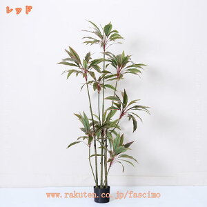 hZi ϗtA ^ { tFCNO[ lH j CeA zj Vzj JXj ړ]j AWA   ItBX Mtg v[g  t