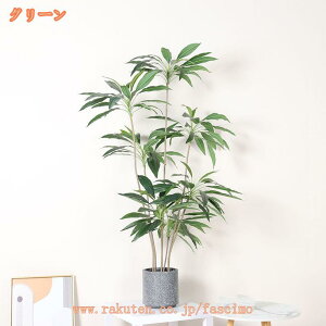 hZi ϗtA ^ { tFCNO[ lH j CeA zj Vzj JXj ړ]j AWA   ItBX Mtg v[g  t