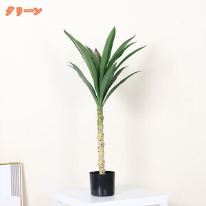 tFCNbJ̖ lHϗtA tFCNO[ ̂Ȃ K^̖ lHA   rO ItBX p CeA ϗt   { sv Q