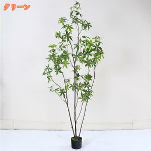 pL ϗtA ^ { tFCNO[ lH j CeA zj Vzj JXj ړ]j AWA   ItBX Mtg v[g  t[