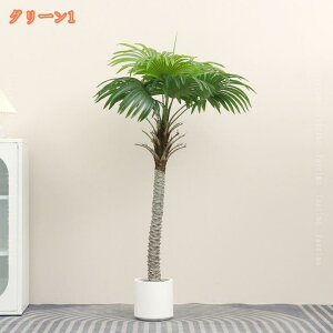 lHϗtA V̖ ^ tFCNO[ sv ͂Ȃ QȂ { CeAO[ ϗt   A  ItBX JtF  J^ a 