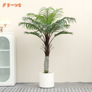 V̖ lHϗtA { ^ p O[ ^Abv   CeA 傫 Mtg v[g j Ă₷  JtF ʏ  gC K