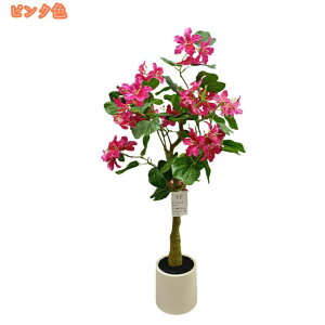 1000~OFFN[| oEqjẢ tFCNO[ ^ A CeA v[g   ϗt ϗtA tFCN A CeAO[ p rO  It