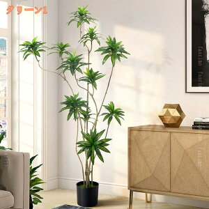 hZi K̖ tFCNO[ ^ A CeA v[g   ϗt ϗtA tFCN A CeAO[ p rO  ItBX ^