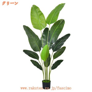 AȐlHϗtA tFCNO[ Xg`A Ɋy a { lH Aȗt  CeAO[ A ͂ȂA rO ItBX  