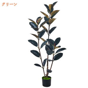 AȐlHϗtA tFCNO[ S̖ a { lH Aȗt  CeAO[ A ͂ȂA rO ItBX   J^ K