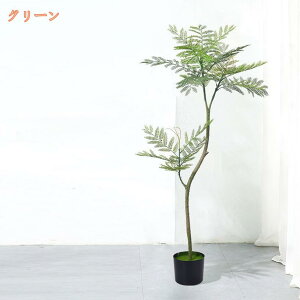 AȐlHϗtA tFCNO[ WJ_̖ a { lH Aȗt  CeAO[ A ͂ȂA rO ItBX   J