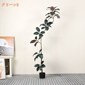 2000~OFFN[| S̖ tFCNO[ ^ lHϗtA lHϗt  Ύ lHA lH ~ CeAO[ A Op R hL tFCNt[ ItBX 