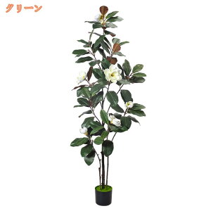 ʗ̉ K̖ AȎ N₩ȐF tFCNO[ ^ ~͐A lHA O[ sv ItBX  rO  p  CeAO[ l