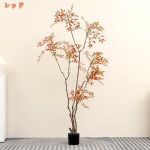 | ou[ tFCNO[ ^ A CeA v[g   ϗt ϗtA tFCN A CeAO[ p rO  ItBX ^TCY 