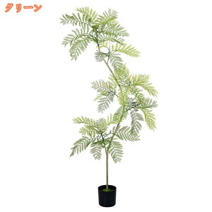 AȐlHϗtA tFCNO[ WJ_̖ a { lH Aȗt  CeAO[ A ͂ȂA rO ItBX   J