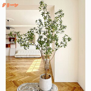 tFCNO[ AZr n lHϗtA  ȒPb CeA  O tFCNA  킢 sv ͂Ȃ a er ItBX Q  Vv 