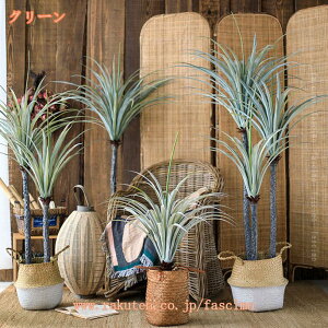 tFCNO[ bJ̖ bJ lHϗtA  ȒPb CeA  O tFCNA  킢 sv ͂Ȃ a er ItBX Q  Vv