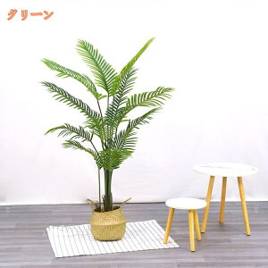 tFCNO[ AJV p[ lHϗtA  ȒPb CeA  O tFCNA  킢 sv ͂Ȃ a er ItBX Q  Vv