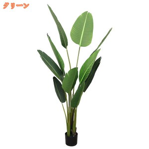 tFCNO[ ϗtA tFCN Xg`AEMl lHϗtA sv Q̐SzȂ  { A ~͐A L R j v[g t t  J^ 