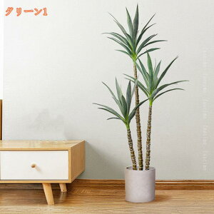 tFCNO[ ϗtA hZi bJ̖ ^ A sv Q̐SzȂ { lHϗtA 傫 j A  CeA rO lH IV k