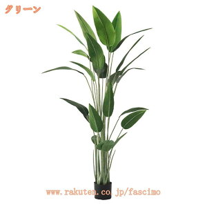 tFCNO[ ϗtA Ɋy ^ A sv Q̐SzȂ { lHϗtA 傫 j A  CeA rO lH IV k L R