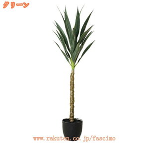 tFCNO[ ϗtA TCU bJ̖ ^ A sv Q̐SzȂ { lHϗtA 傫 j A  CeA rO lH IV k