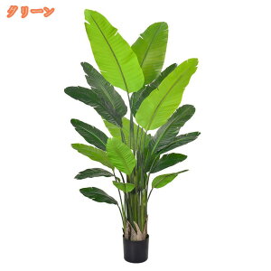 Xg`AEMl tFCNO[ JXj ϗtA A zj Vzj GgX X  ItBX b炸 sv ͂Ȃ lH tFCN A 