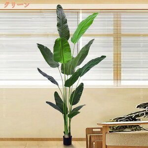 Ɋy Xg`A tFCNO[ JXj ϗtA A zj Vzj GgX X  ItBX b炸 sv ͂Ȃ lH tFCN A 