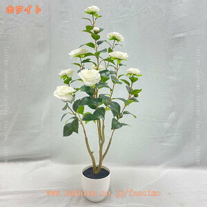 tFCNO[ ϗtA tFCN lHϗtA A ^ 傫 ւ̖ A lH ȒP CeAO[ ϗA {  JXj Vzj  J^ 