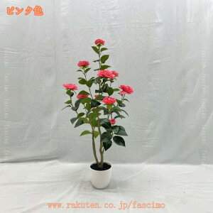 ւ̖ tFCNO[ ^ lHϗtA lHϗt  Ύ lHA lH ~ CeAO[ A Op R hL tFCNt[ ItBX JXj 