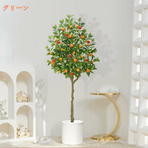 lHϗtA ^ ~J̖ lH ~͐A JXj JƏj ړ] AC N ݗ Vz  V JtF tFCNO[ K̖  CeA Mtg 蕨 ϗt 