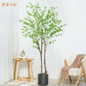 1000~OFFN[| hE_ccW ϗtA ^  j v[g Mtg }V rO 傫 Ύ lHϗt u A Vv  J^ ItBX  Ce