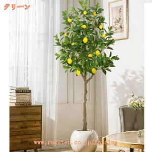 lHϗtA ^ ̖ lH ~͐A JXj JƏj ړ] AC N ݗ Vz  V JtF tFCNO[ K̖  CeA Mtg 蕨 ϗt 