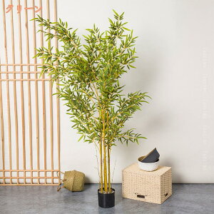 lHϗtA ^ | ou[ lH ~͐A JXj JƏj ړ] AC N ݗ Vz  V JtF tFCNO[ K̖  CeA Mtg 蕨 ϗt 