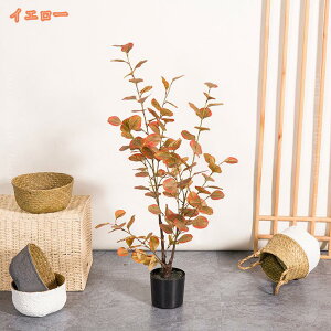 lHϗtA ^ [J lH ~͐A JXj JƏj ړ] AC N ݗ Vz  V JtF tFCNO[ K̖  CeA Mtg 蕨 ϗt  