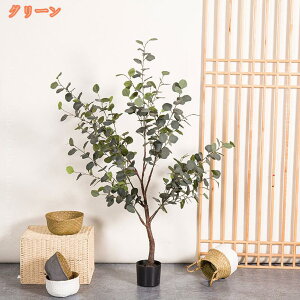 lHϗtA ^ [J lH ~͐A JXj JƏj ړ] AC N ݗ Vz  V JtF tFCNO[ K̖  CeA Mtg 蕨 ϗt  