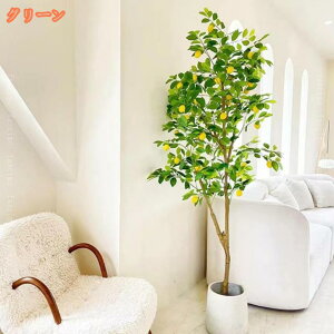 ̖ K̖ AȎ N₩ȐF tFCNO[ ^ ~͐A lHA O[ sv ItBX  rO  p  CeAO[ 