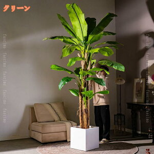 mԂ̖ oVE lHϗtA ϗt ϗtA tFCN A ^ lH  V CeA ItBX  { lH̍K̖ sv b炸 A  