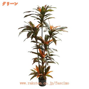 hZi lHϗtA ϗt ϗtA tFCN A ^ lH  V CeA ItBX  { lH̍K̖ sv b炸 A  J^ tF