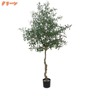 AȐlHϗtA tFCNO[ hE_ccW a { lH Aȗt  CeAO[ A ͂ȂA rO ItBX   J^ 