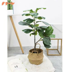 Ex[^ K̖ AȎ N₩ȐF tFCNO[ ^ ~͐A lHA O[ sv ItBX  rO  p  CeAO[