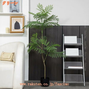 WJ_̖ Ύ  tFCNA { lHA tFCNO[ ^ A lHϗtA lHϗt   K̖  rO ItBX  j  J^ 