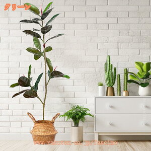 lHϗtA { ^ S̖ K̖ A  sv b炸 Ə X ItBX j Mtg tFCNO[ ϗA CeA  v[g 