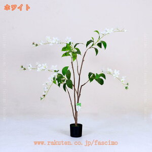 ϗtA WX~ 仉 tFCNO[ A  ^ 傳 Ύ ItBX  rO  CeA sv ͂Ȃ QȂ  J^  K