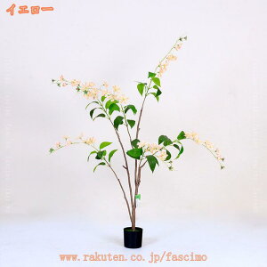 1000~OFFN[| ϗtA WX~ 仉 tFCNO[ A  ^ 傳 Ύ ItBX  rO  CeA sv ͂Ȃ QȂ  