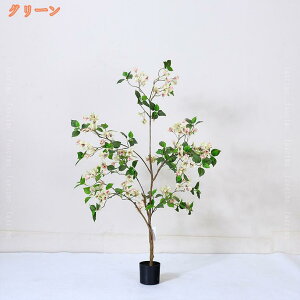 1000~OFFN[| ϗtA u[QrA ^ CeA  傫  k JXj Vzj zj tFCNO[ ϗA v[g 蕨 lHϗt A t