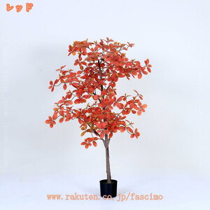 pL ϗtA lH {  ^ sv ͂Ȃ K̖ tFCNO[ CeA  Vv  J^ ӂ̖  ItBX Mtg v[g