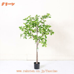 ϗtA ^ pL lH tFCNA b炸  J^  蕨 a j Vzj JXj ړ]  X ItBX Ε k   lHϗtA tFC