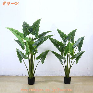 NYC lHϗtA t[  ϗt tFCNO[ ^ K̖ tFCNA X GgX c ItBX ze [ JƏj JXj zj  v[