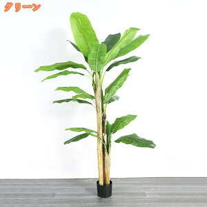 lHϗtA CeA Ƃ̒ɒu tFCNO[ AȎ ϗtA N₩ȐF  oVE c[ O[ sv ^  ~ A ItBX  