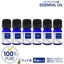 アロマオイル ウッド系 嗅ぎ比べ 6本セット 精油 エッセンシャルオイル SUPERFOODLAB スーパーフードラボ [ 100%ピュア 無添加 天然 ヒバ サイプレス シダーウッド ヒノキ 木曽 吉野 檜 桧 サンダルウッド 夏 夏用 虫 虫除け 香り コスメ アロマ アロマセット ]
