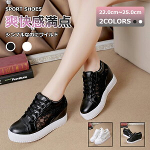 y}\N[|60%off!3998~IzfB[X Xj[J[ Cq[ 8cmAbv  hJ [XV[X[؂ւ Cq[Xj[J[ V[Nbg C\[ fB[X Xj